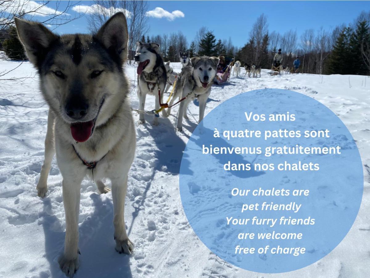 Husky - Chalets De Moh - Jacuzzi Ла-Мальбе Экстерьер фото